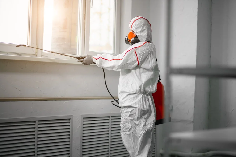 Professional mold remediation services in Kaneohe, HI